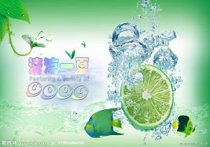 Element Plus 国际化配置（一）：多语言支持的实现与优化